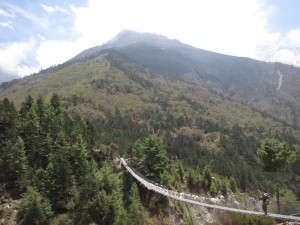 Bridge across the river to Tengboche. All the pink on the opposing hillside are the rhododendrons in full bloom. Nepal has over 30 species.