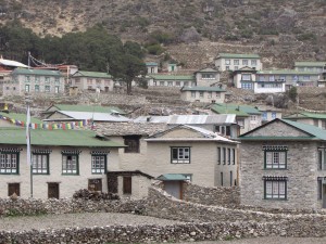 Green roofs of Khumjung