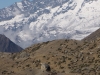 Typical High Altitude Himalayan Vista